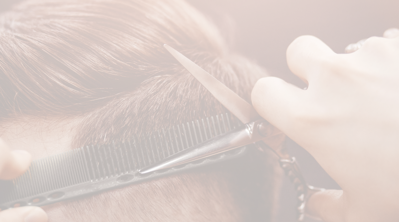 20% Dto Carros, Climazones y Vapos