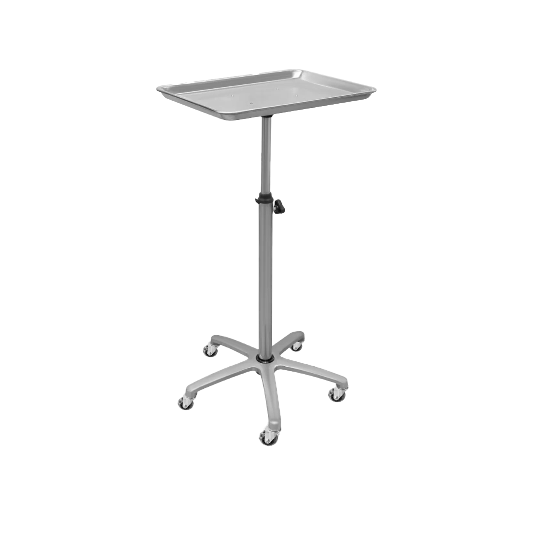 Bandeja Ayudante Tintoreto 1 Teknikstyle