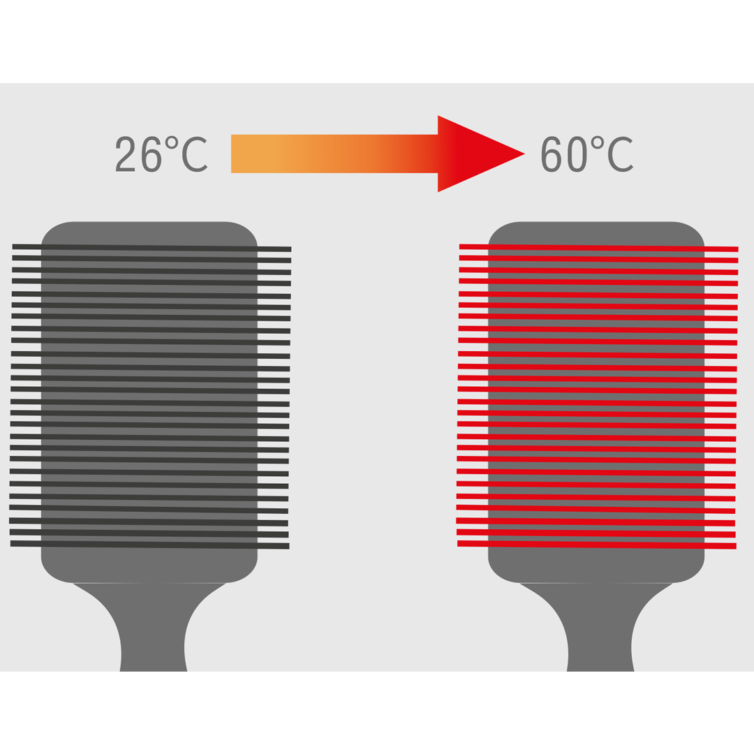 Cepillo Brushing Iónico Chameleon