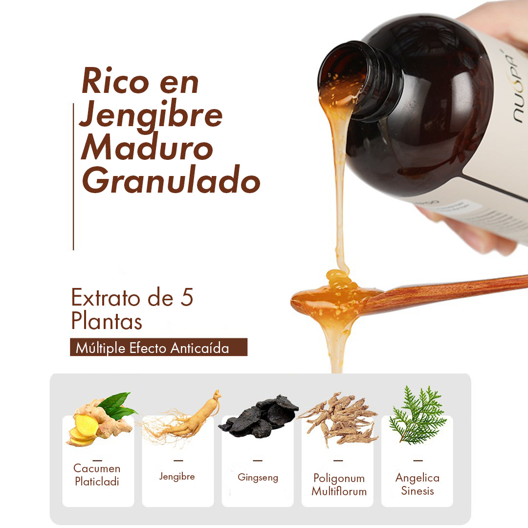 Shampoo Anticaída Jengibre y Ginseng