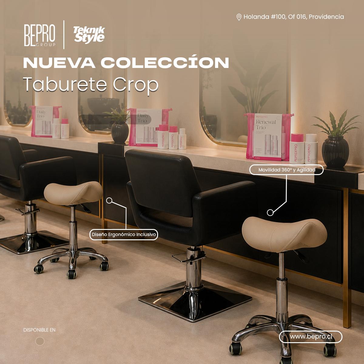 Novedades